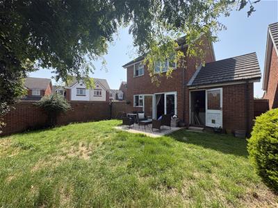Picture 9